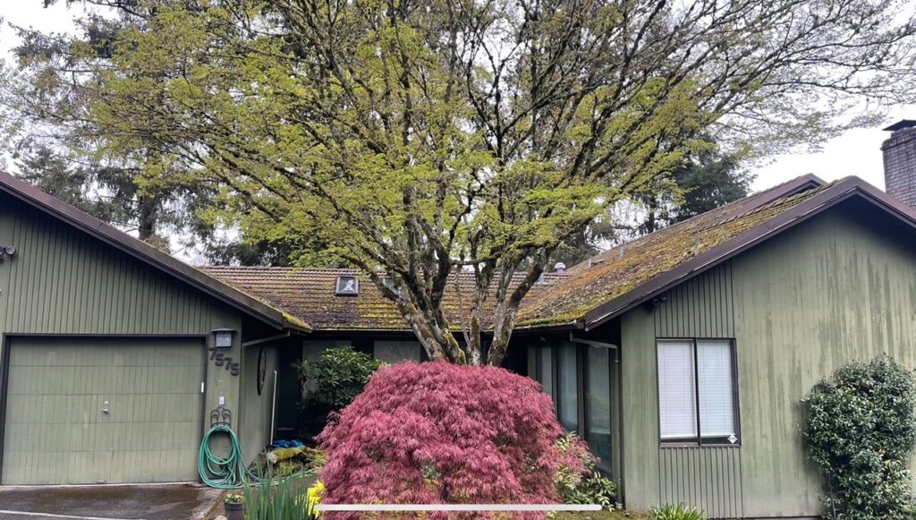 Green single-story house with a mossy roof, flanked by a blooming red bush and a large tree, under an overcast sky.