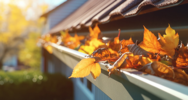Gutter Cleaning
