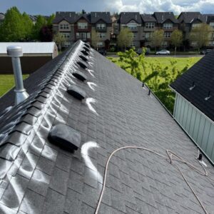 Basic Moss Treatment