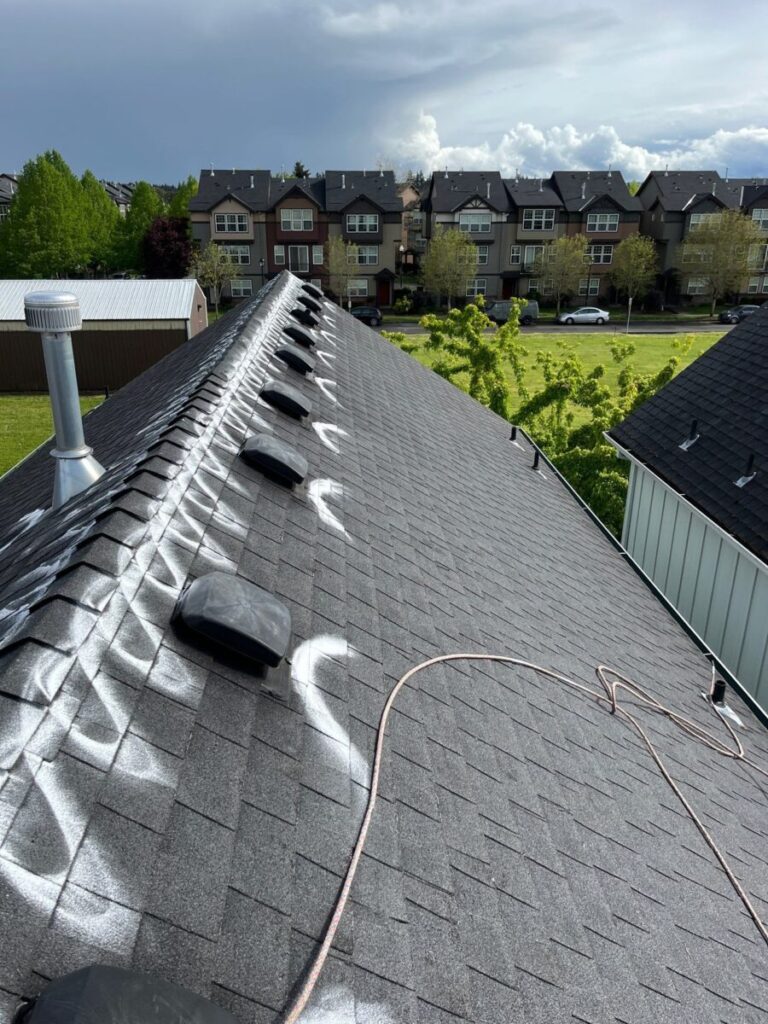 Basic Moss Treatment