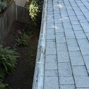 Gutter Cleaning
