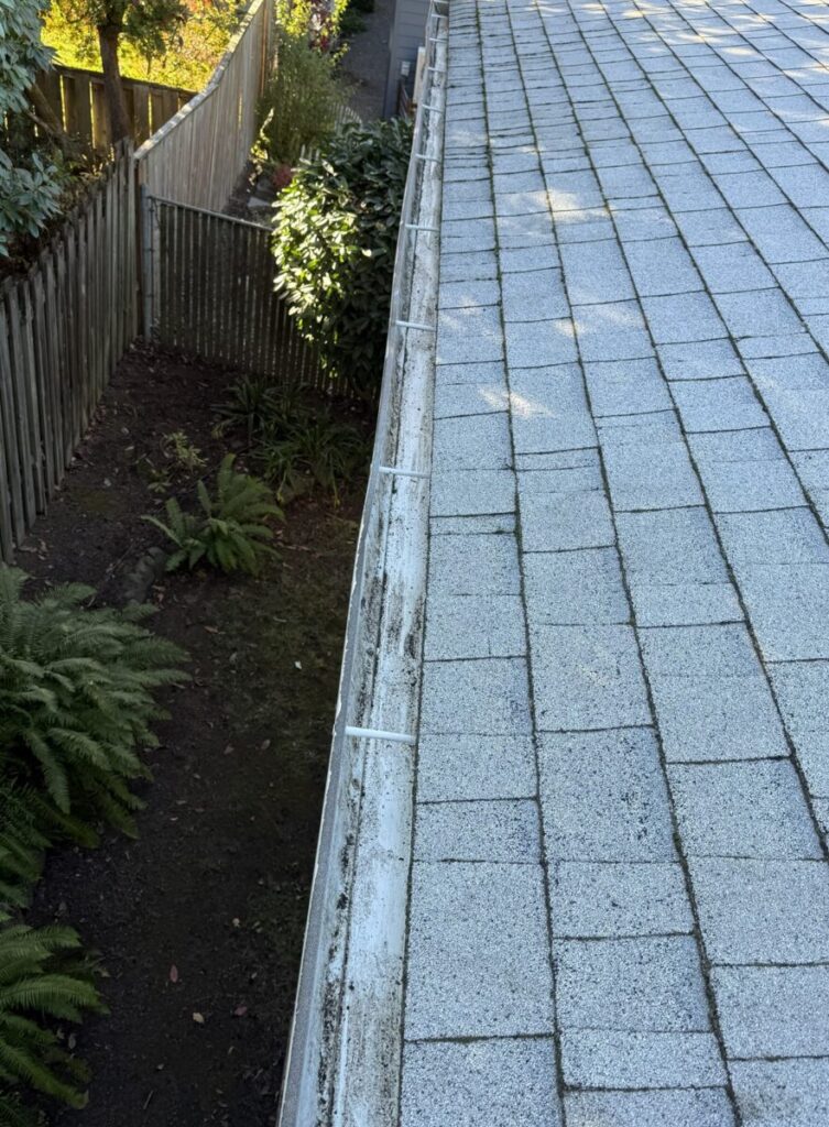 Gutter Cleaning